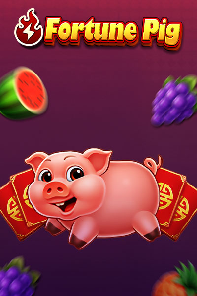 Fortune Pig