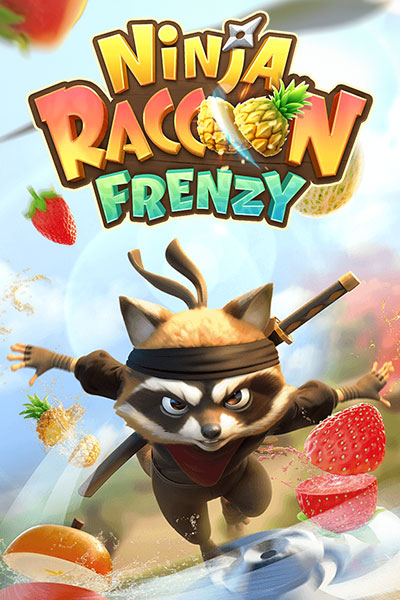 Ninja Raccoon Frenzy